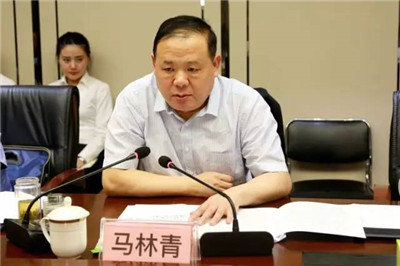 河南省工商局局长马林青在郑州调研跨境贸易电子商务及河南自贸区建设
